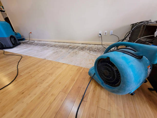 Reliable Basement Flood Cleanup contractor in Zebulon, NC by Hirex Water Damage