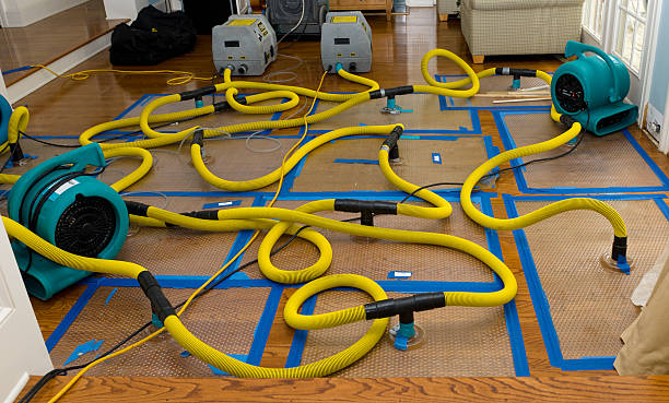 Professional Basement Flood Cleanup technician working in Zebulon, NC